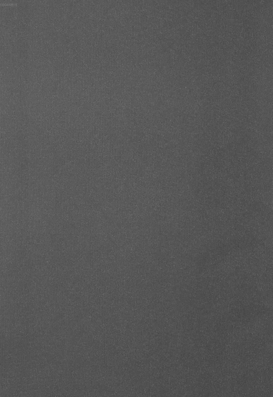 Image 00138