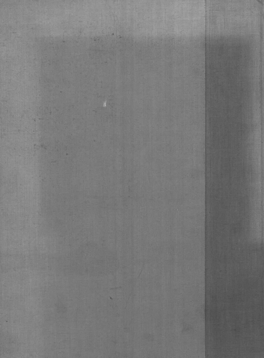 Image 00140