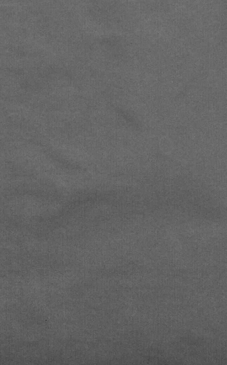 Image 00004