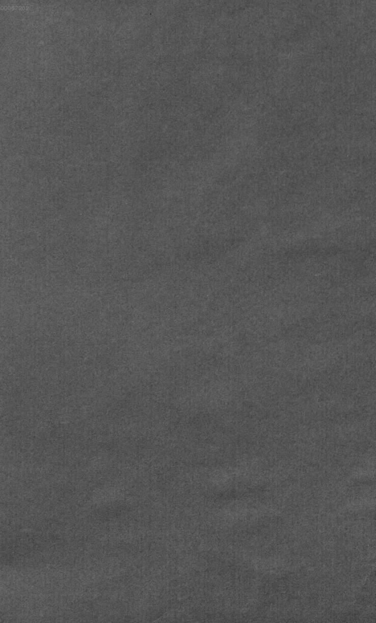 Image 00175