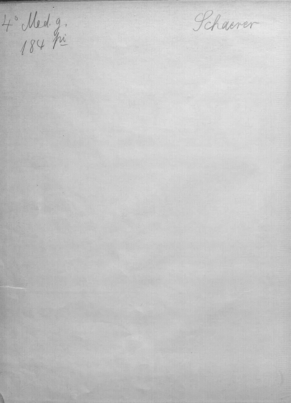 Image 00004