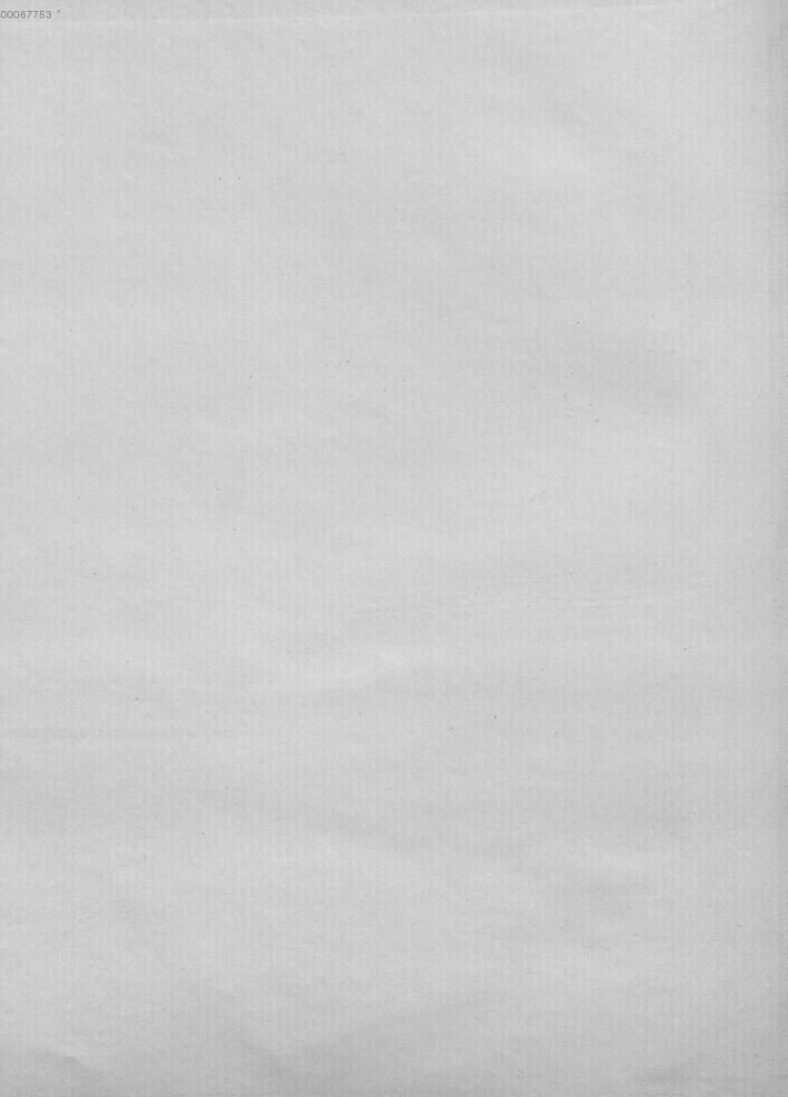 Image 00082