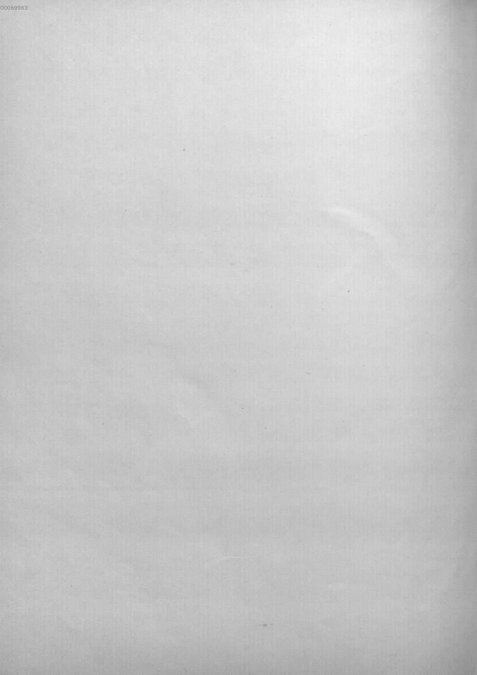 Image 00138