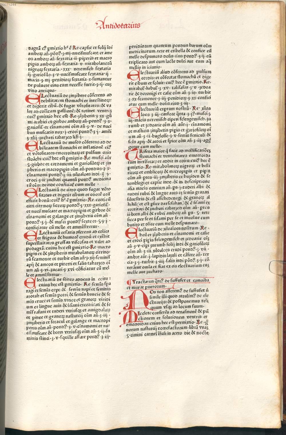 Image 00033
