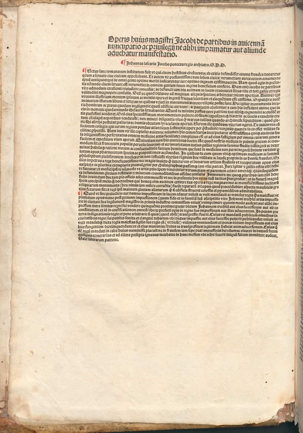 Image 00004