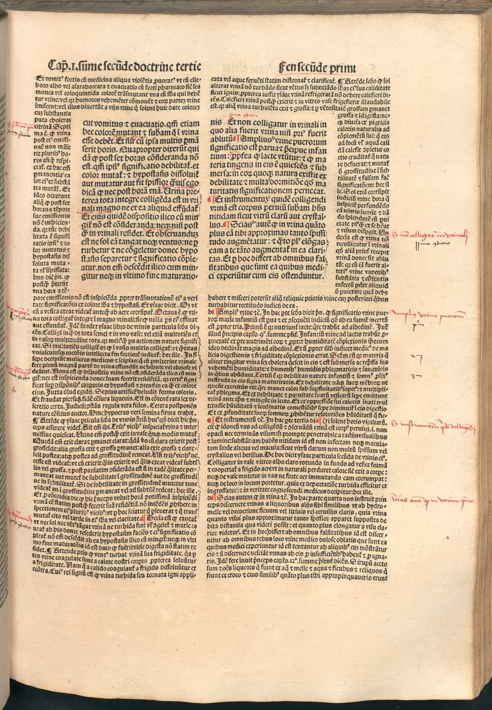 Image 00529