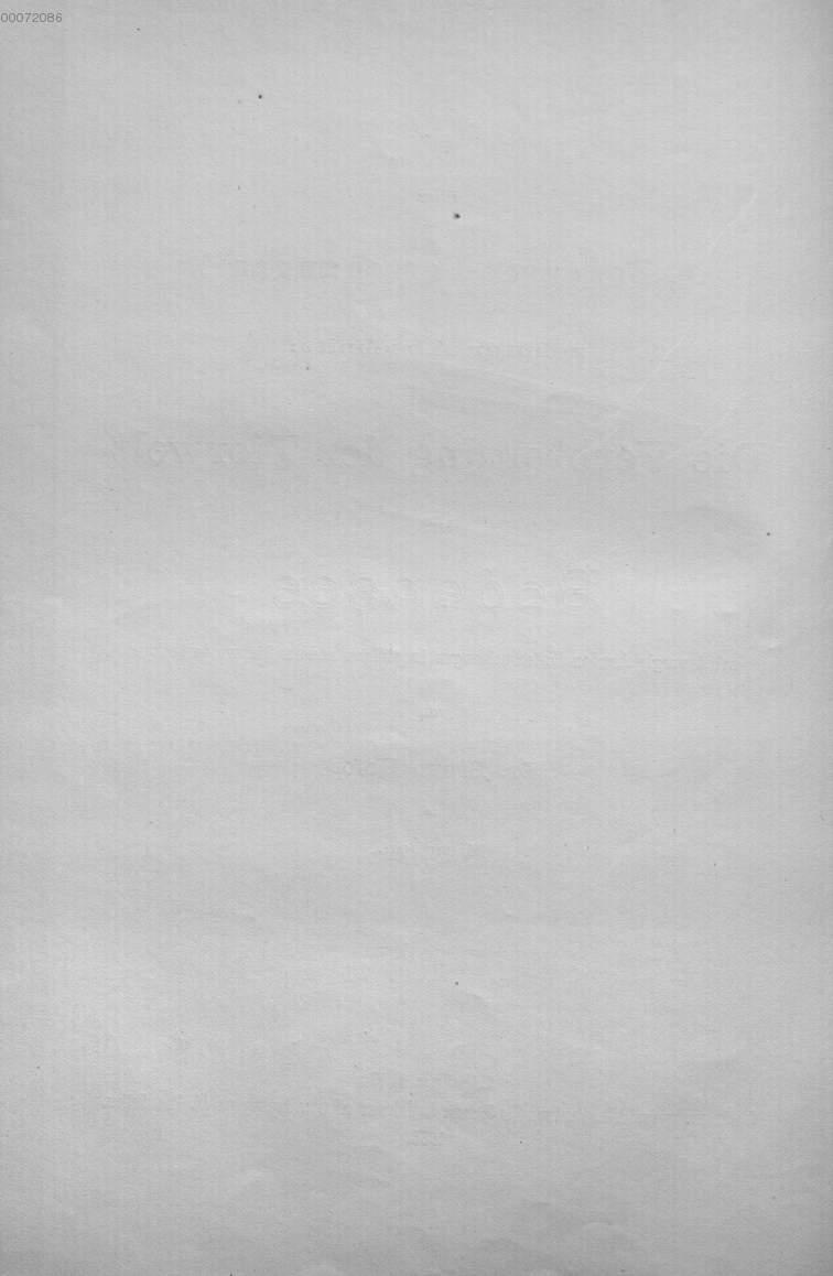 Image 00004
