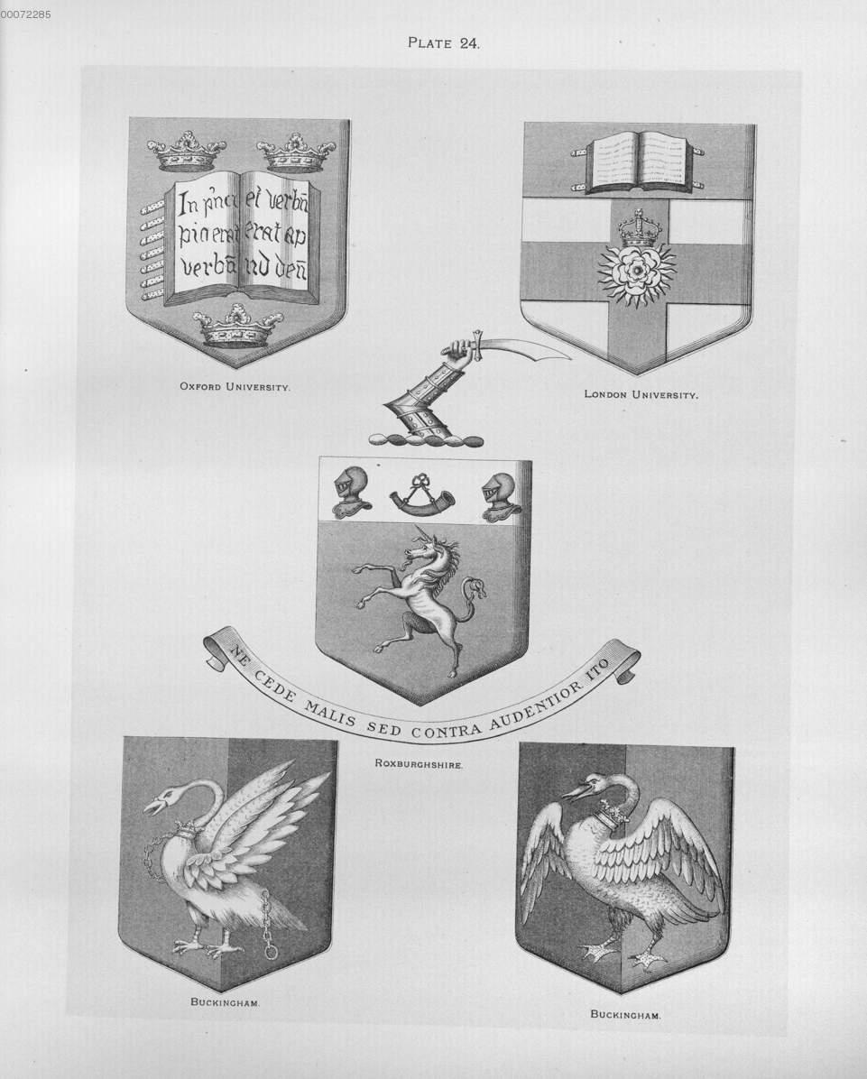 Image 00113