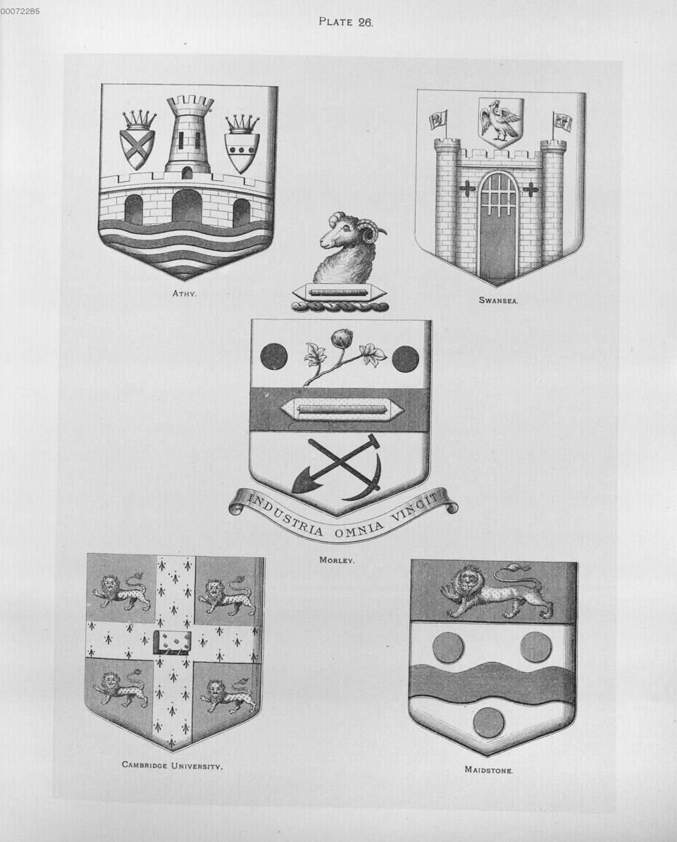 Image 00117