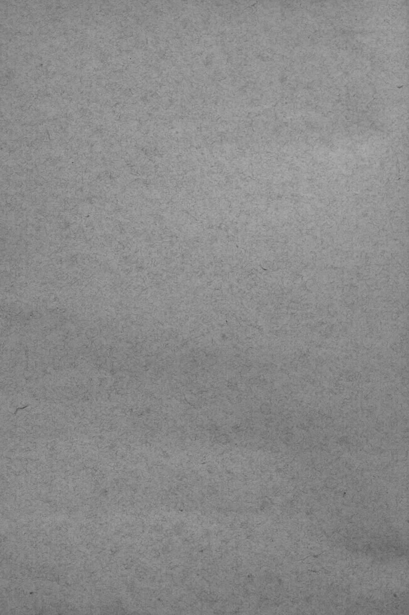 Image 00004