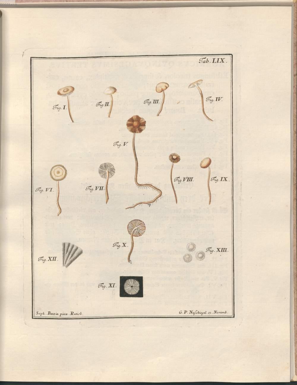 Image 00147