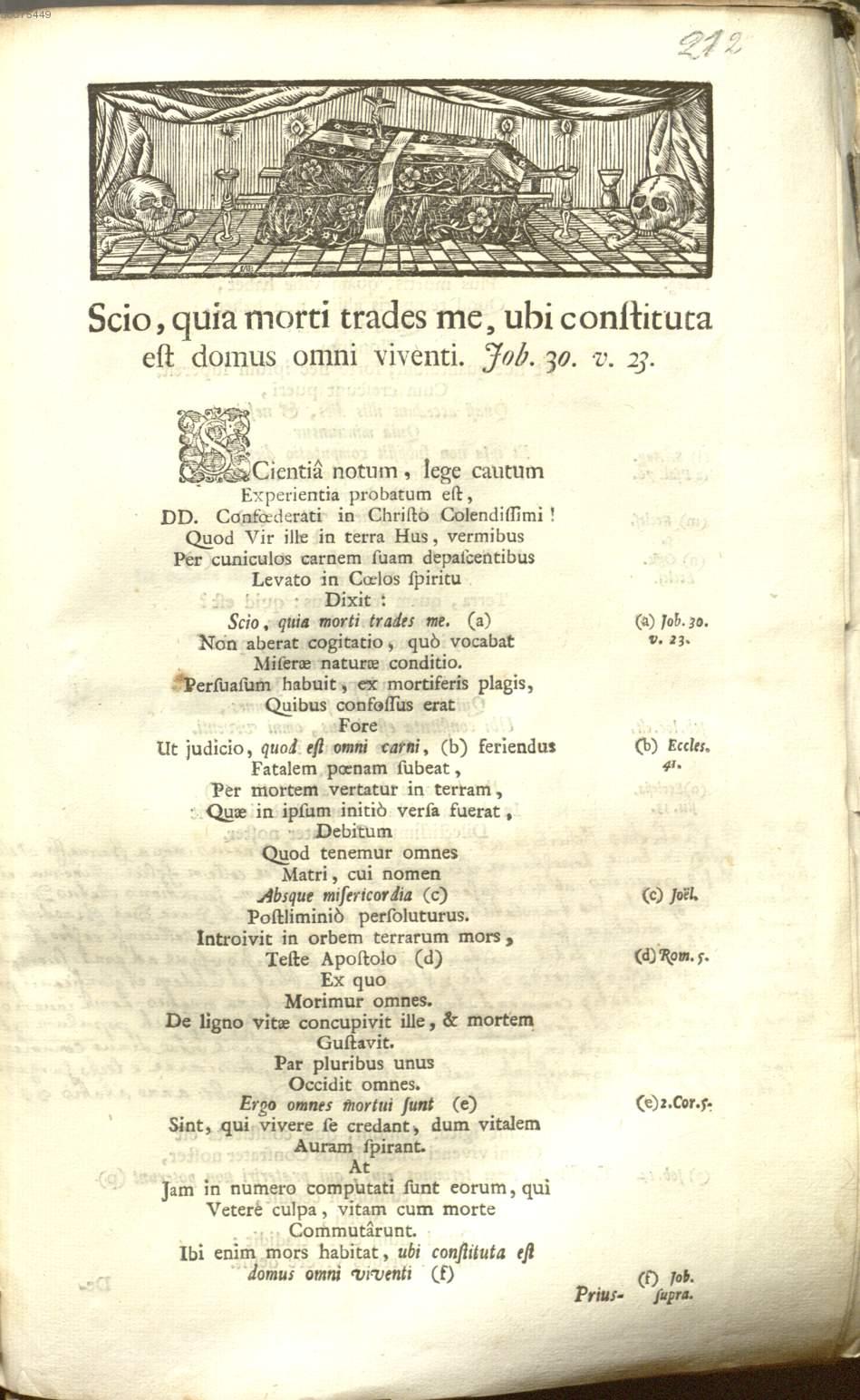 Image 00431
