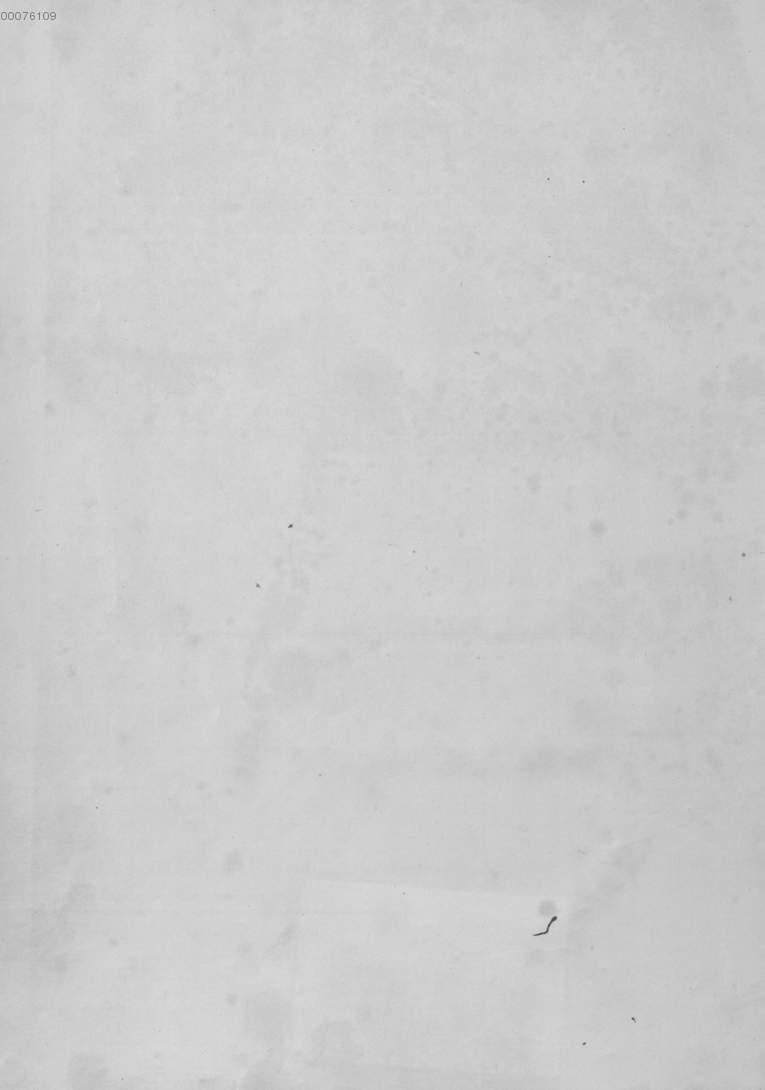 Image 00004