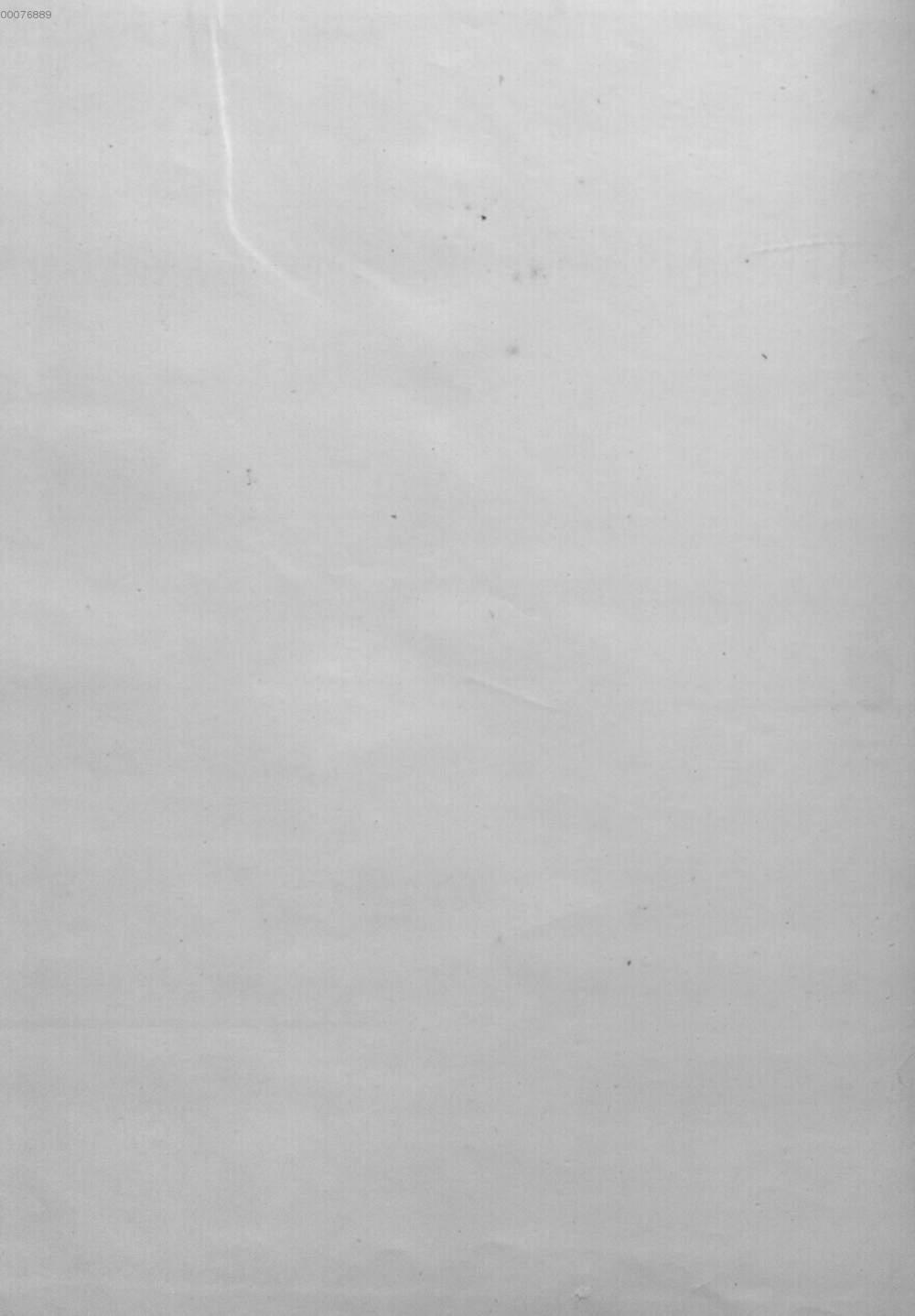 Image 00004