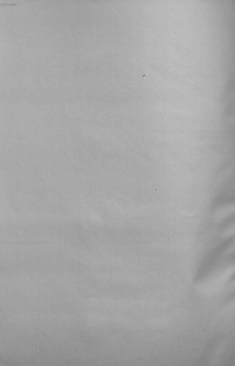 Image 00004
