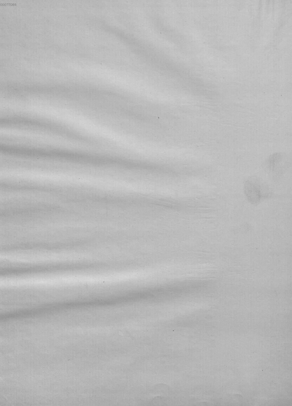 Image 00004