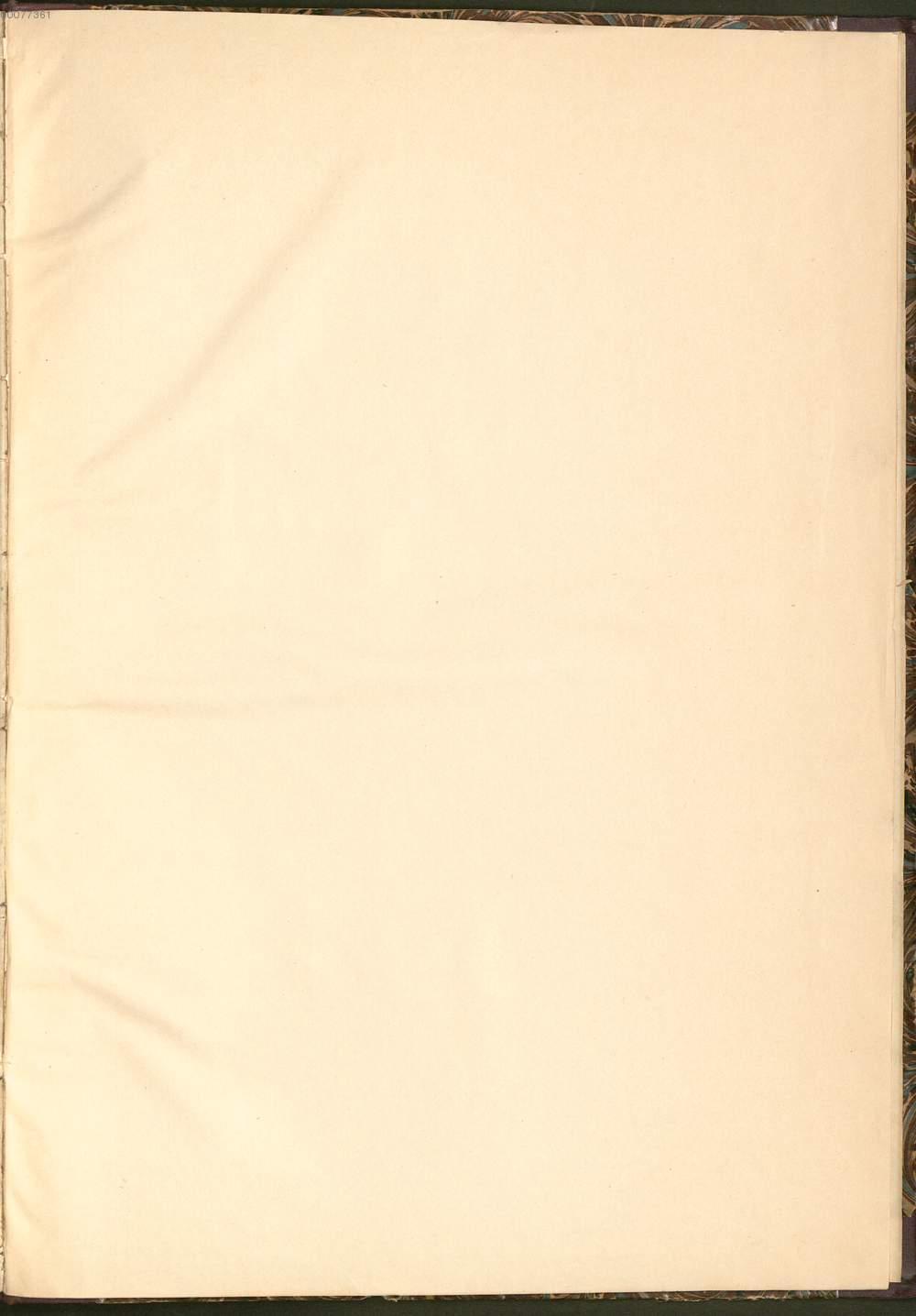 Image 00155