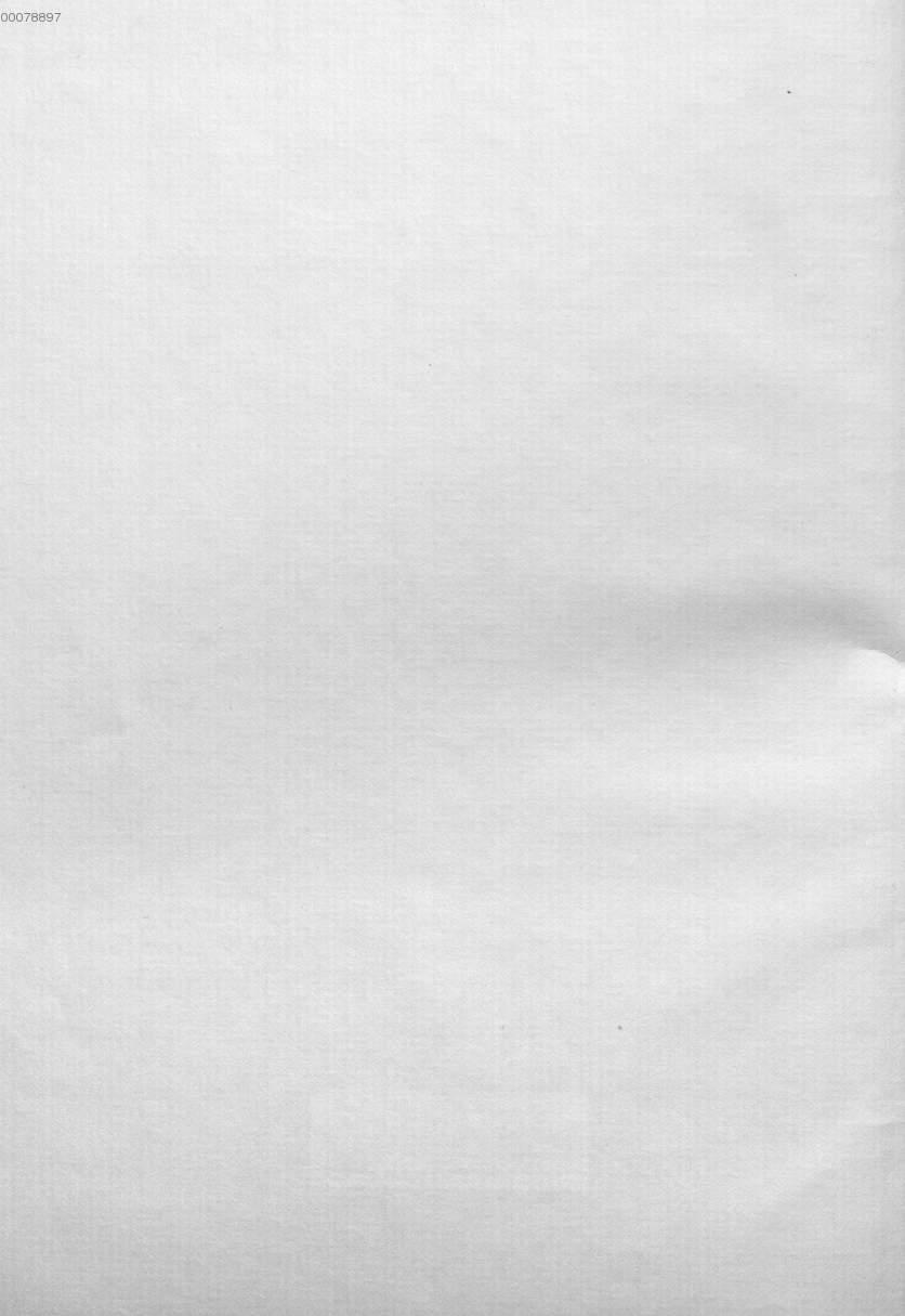 Image 00004