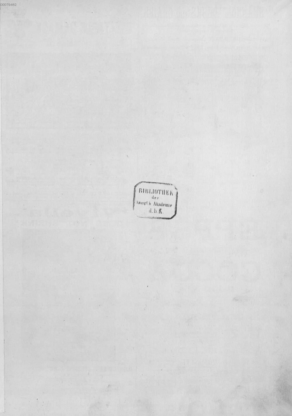 Image 00007