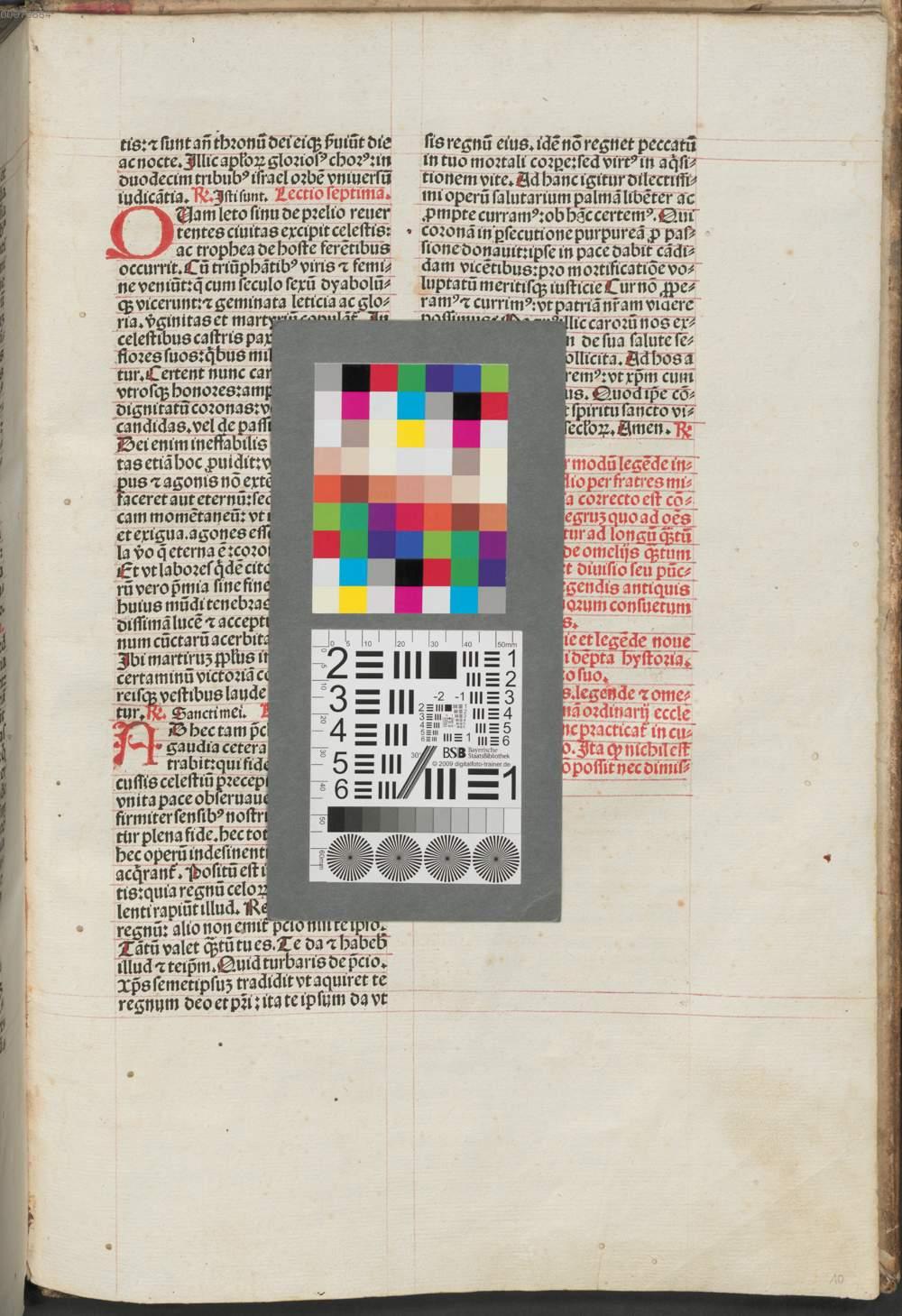 Image 00021