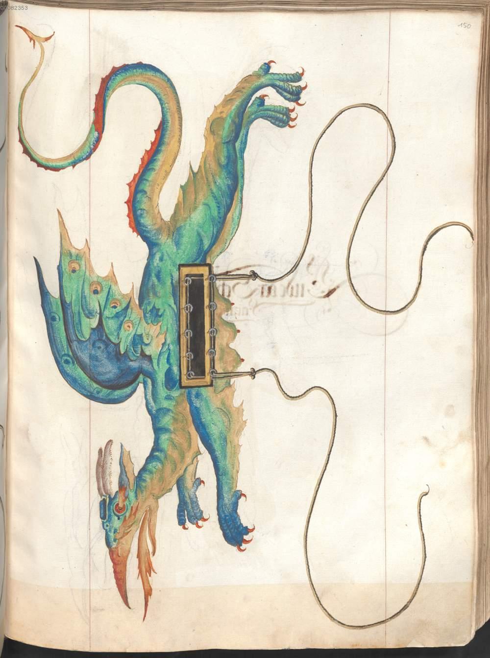 Image 00305