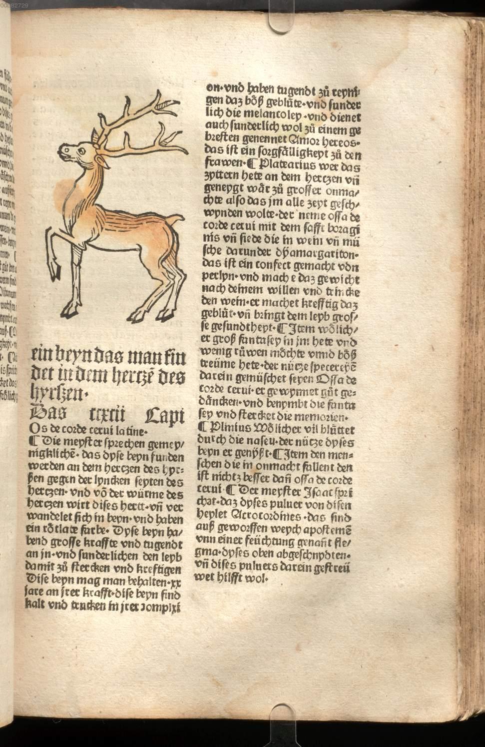 Image 00327