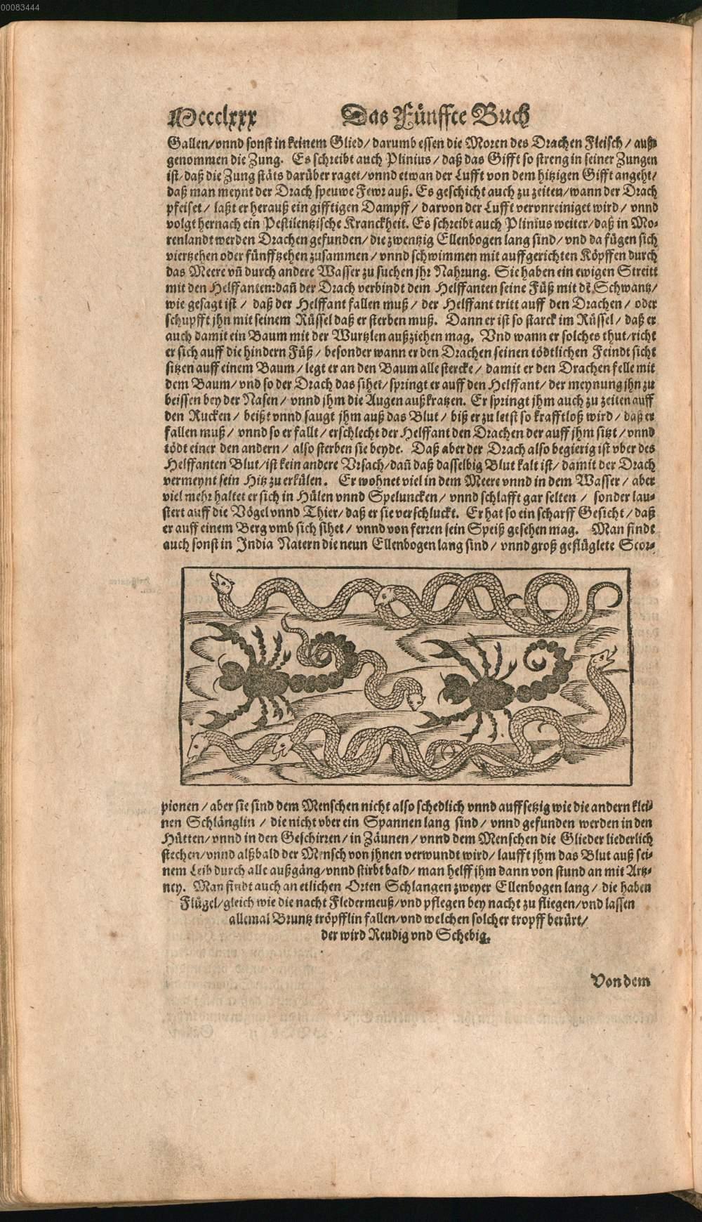 Image 01524