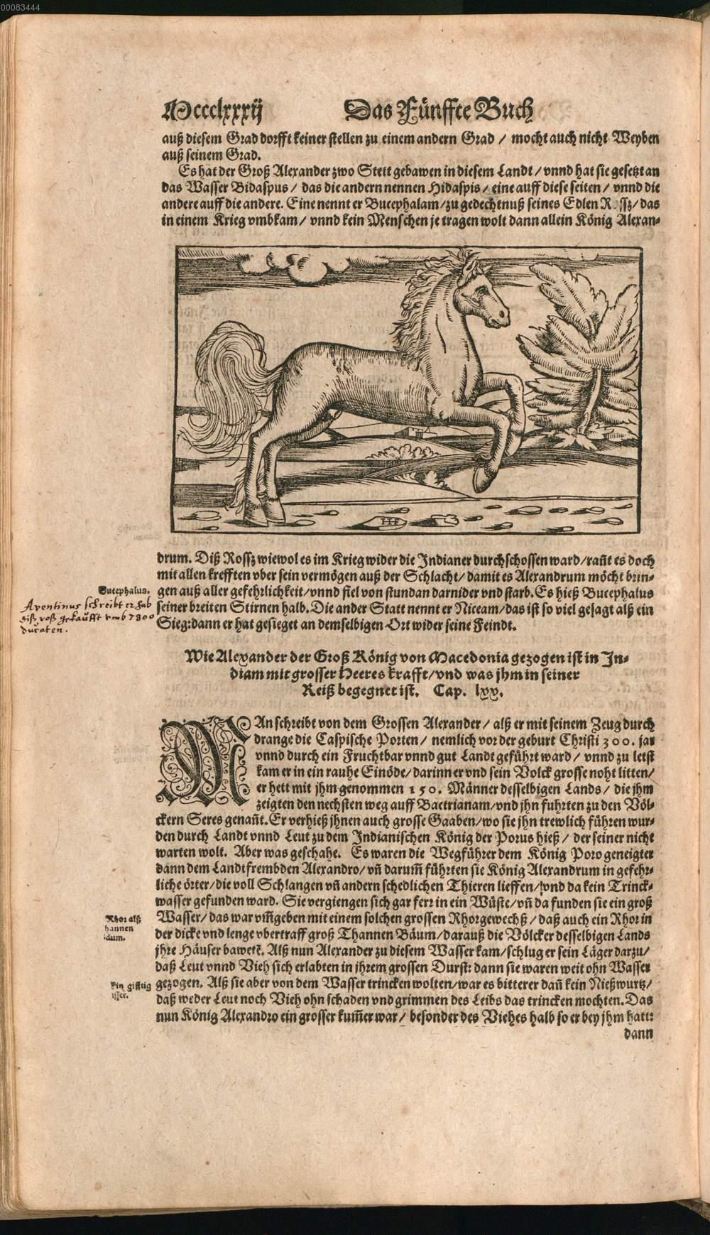 Image 01526