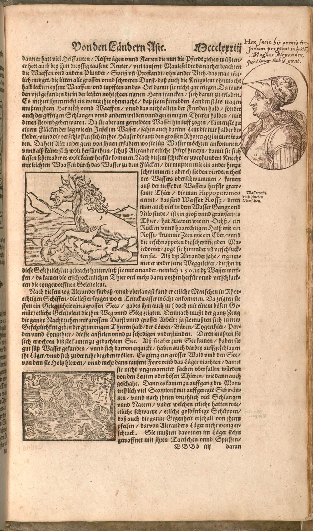Image 01527