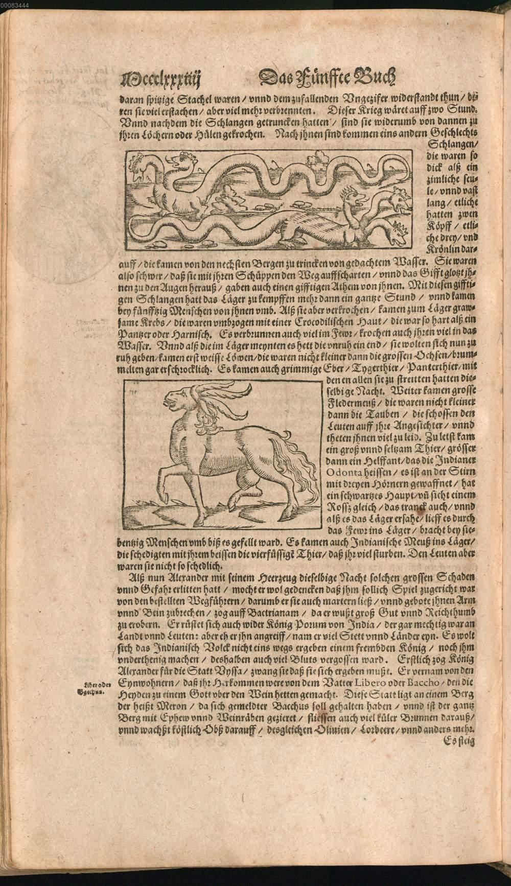 Image 01528
