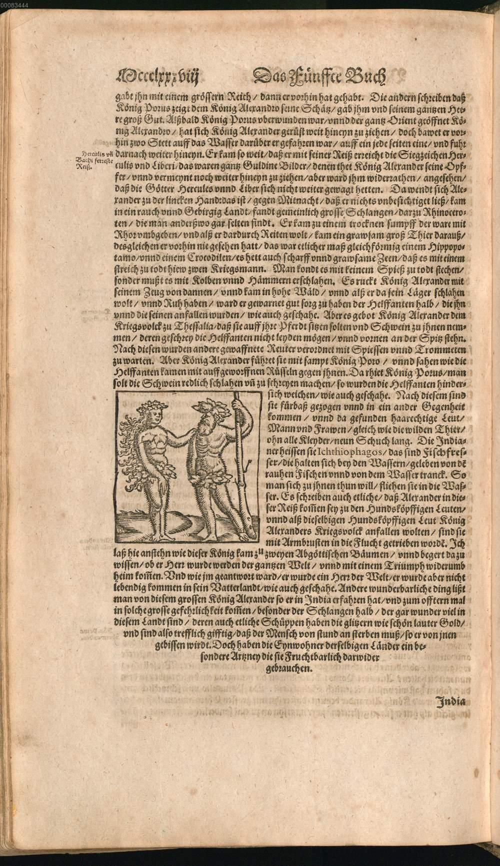 Image 01532