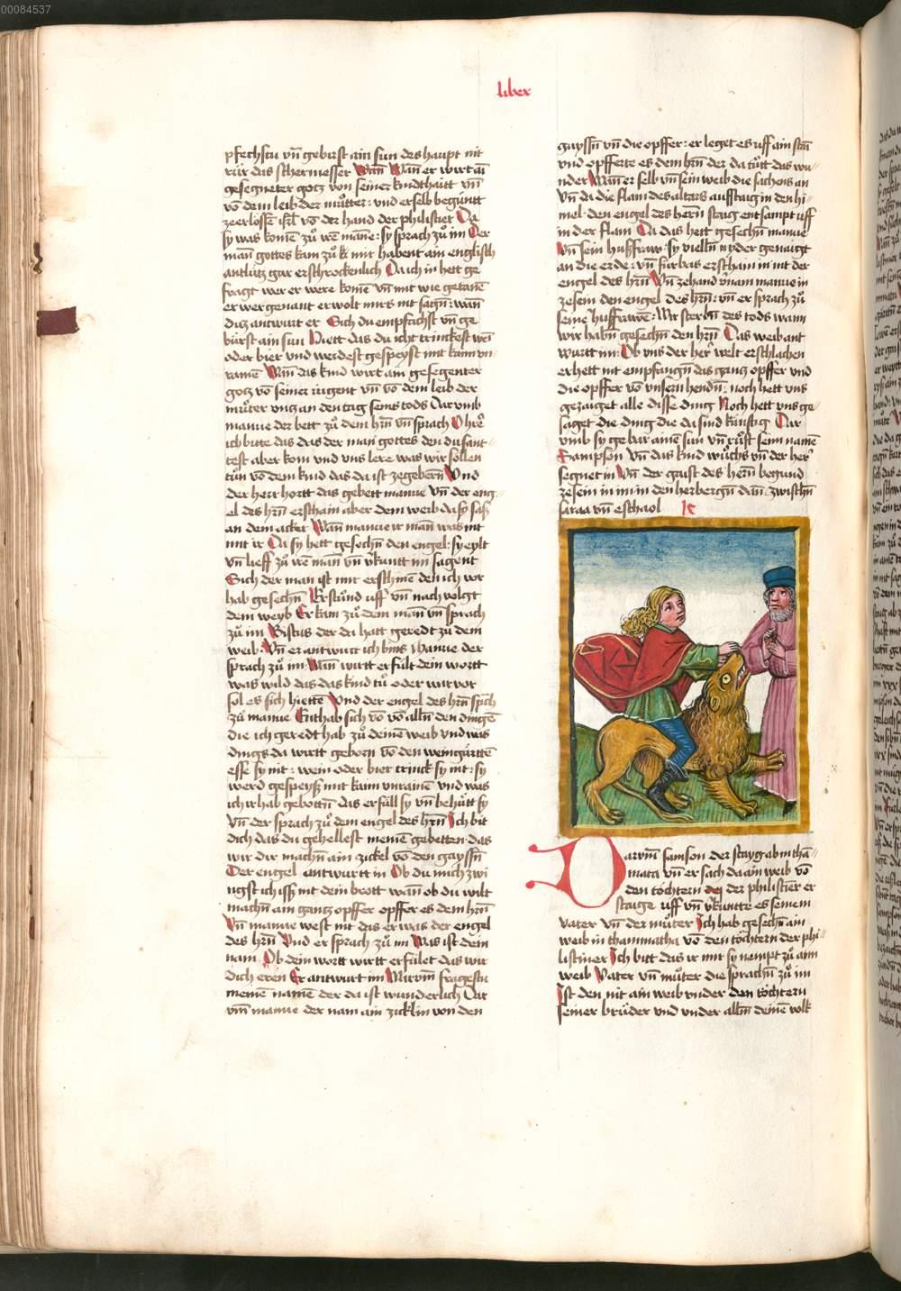 Image 00236