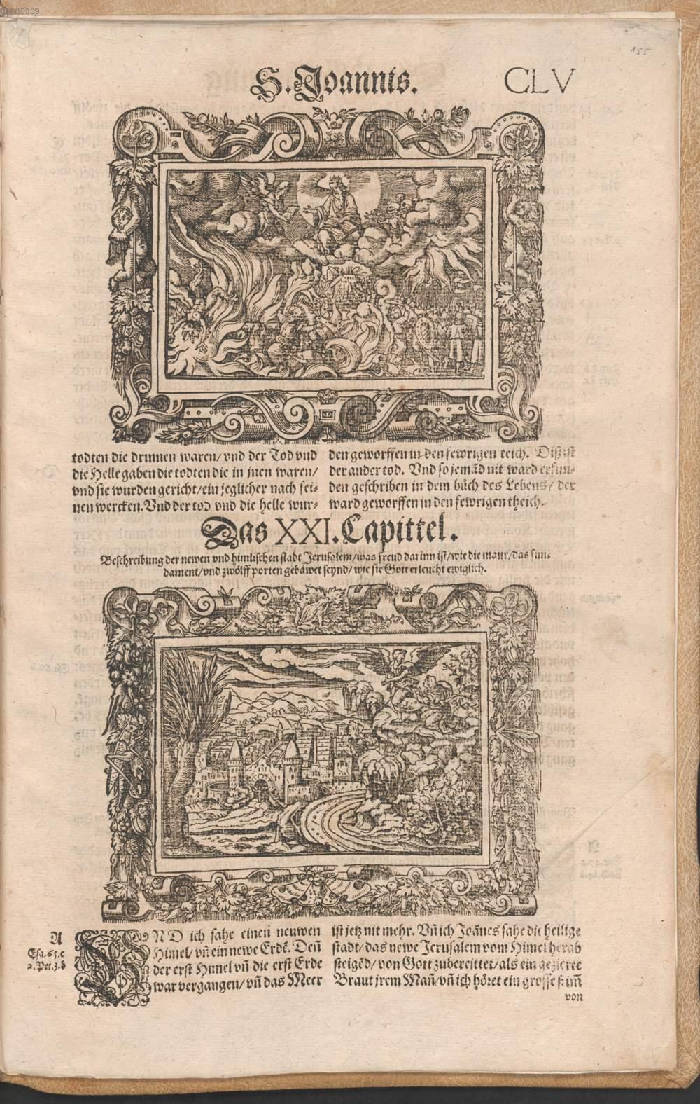 Image 01385