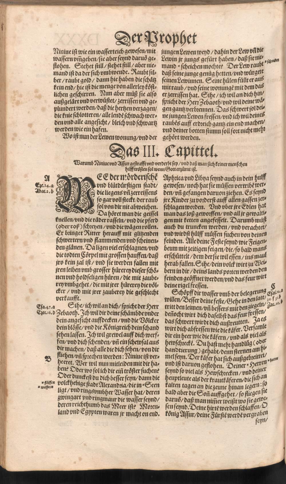 Image 01078