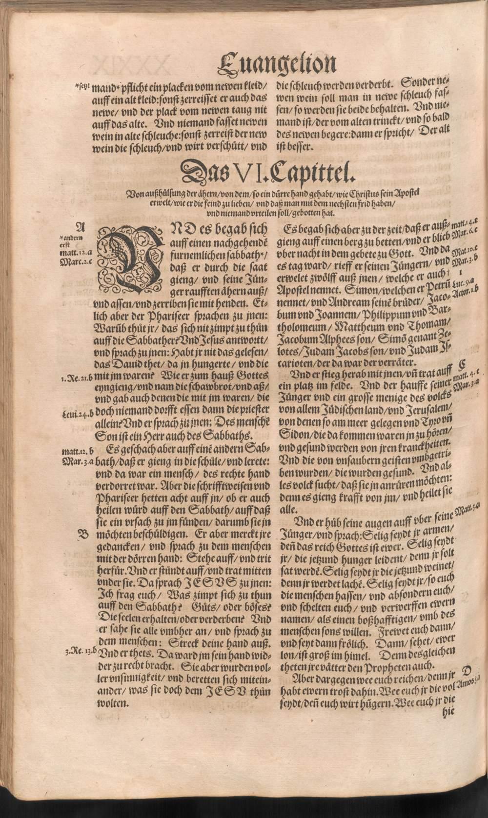 Image 01236