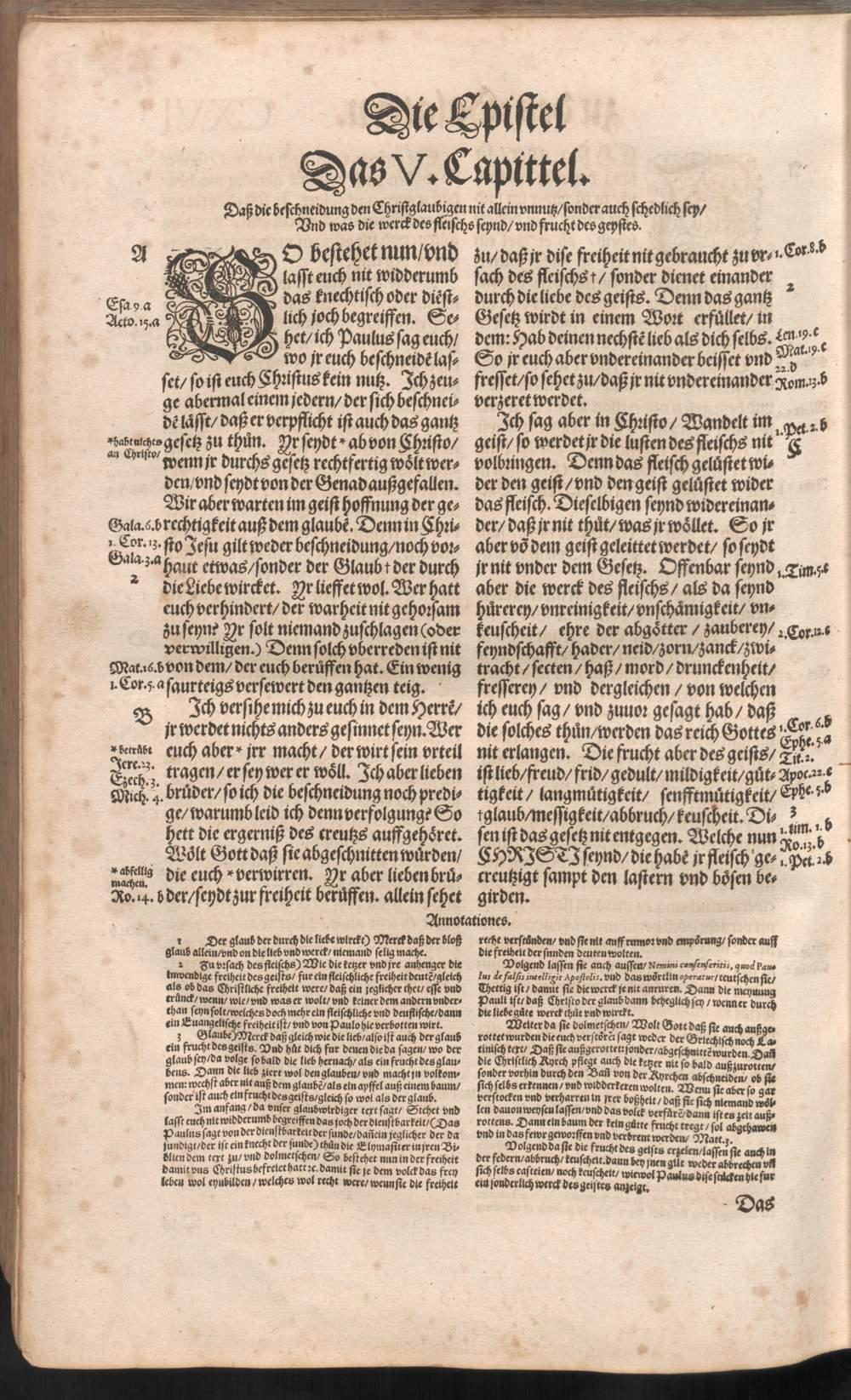 Image 01390