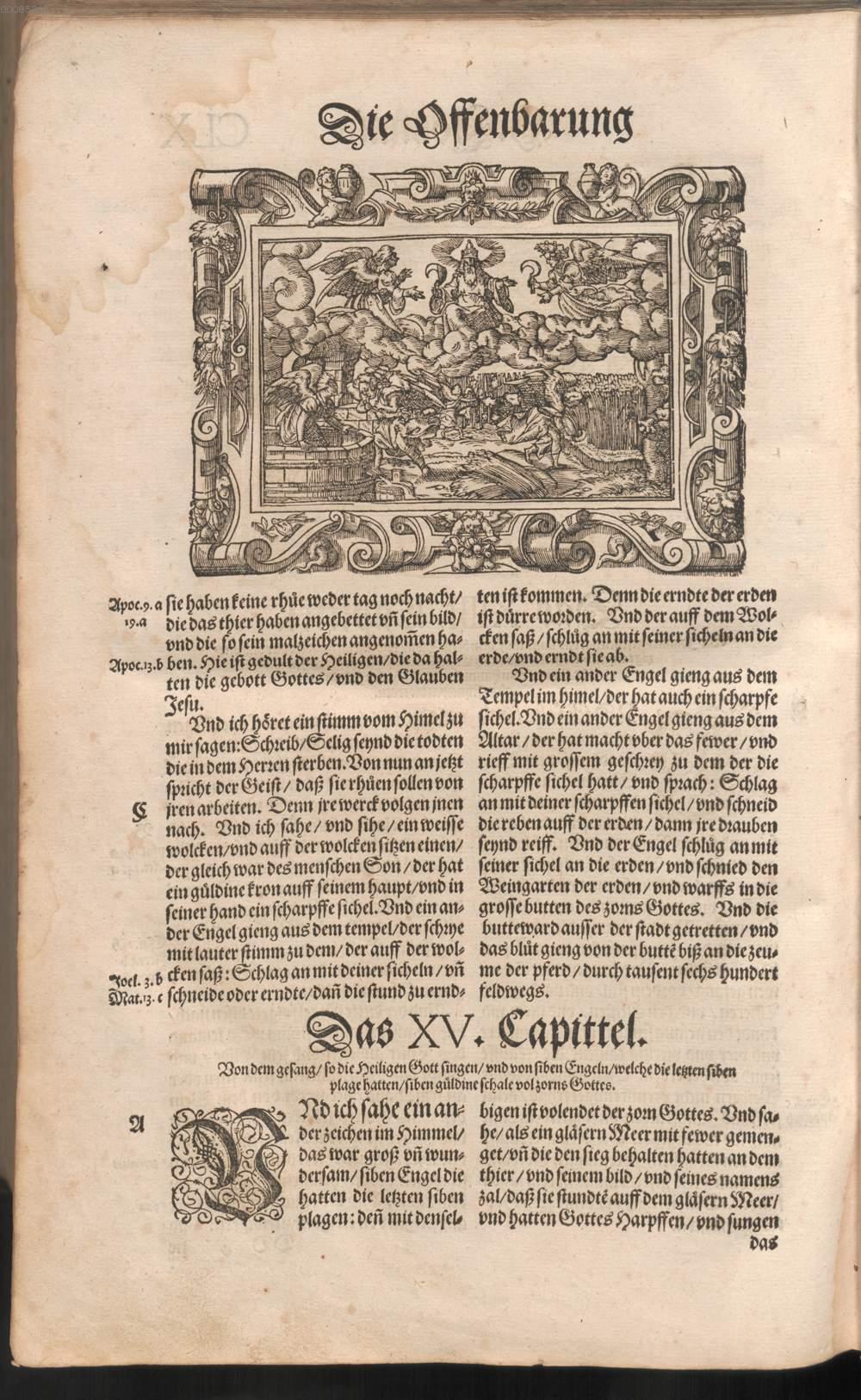 Image 01478