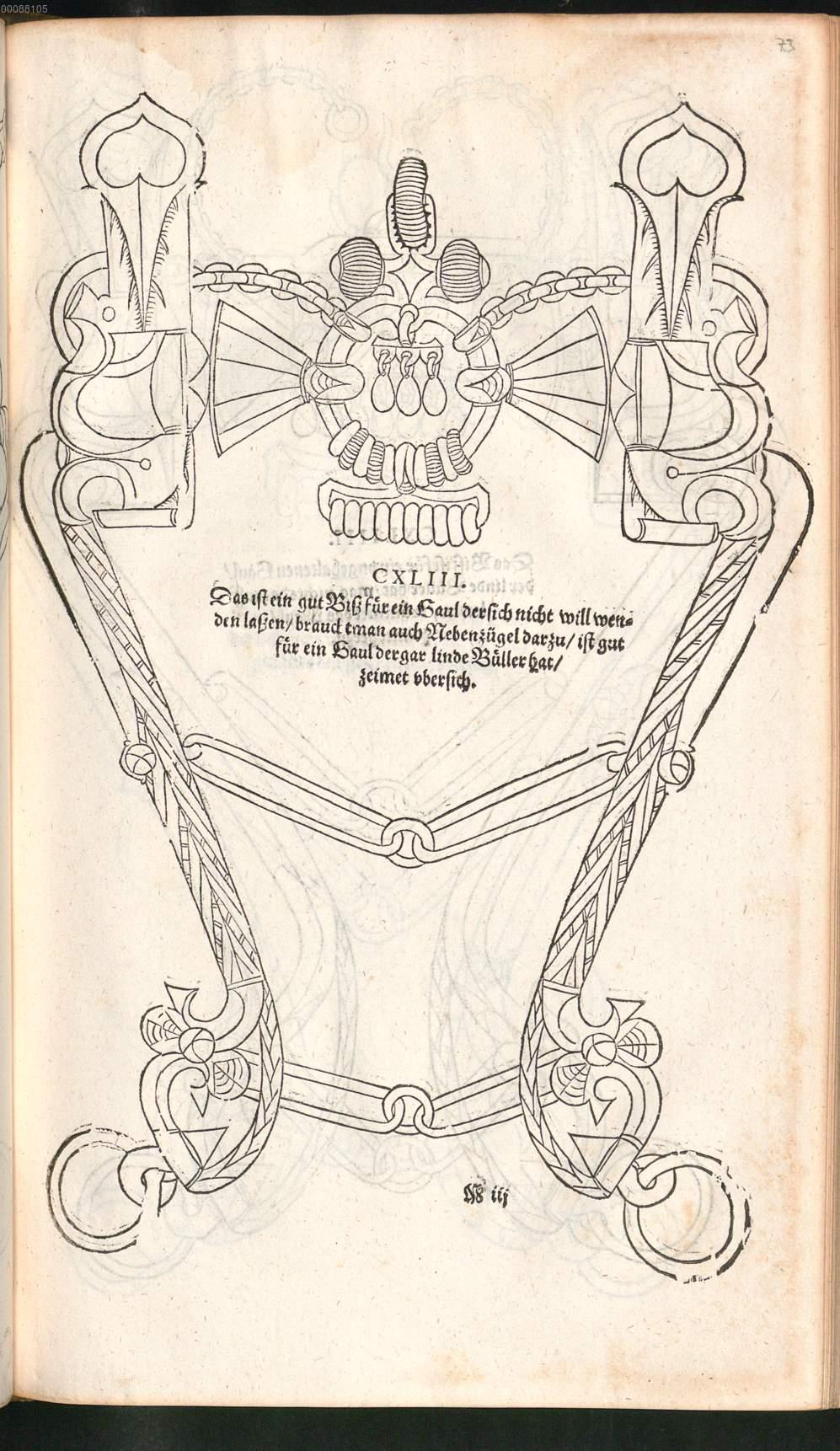 Image 00153
