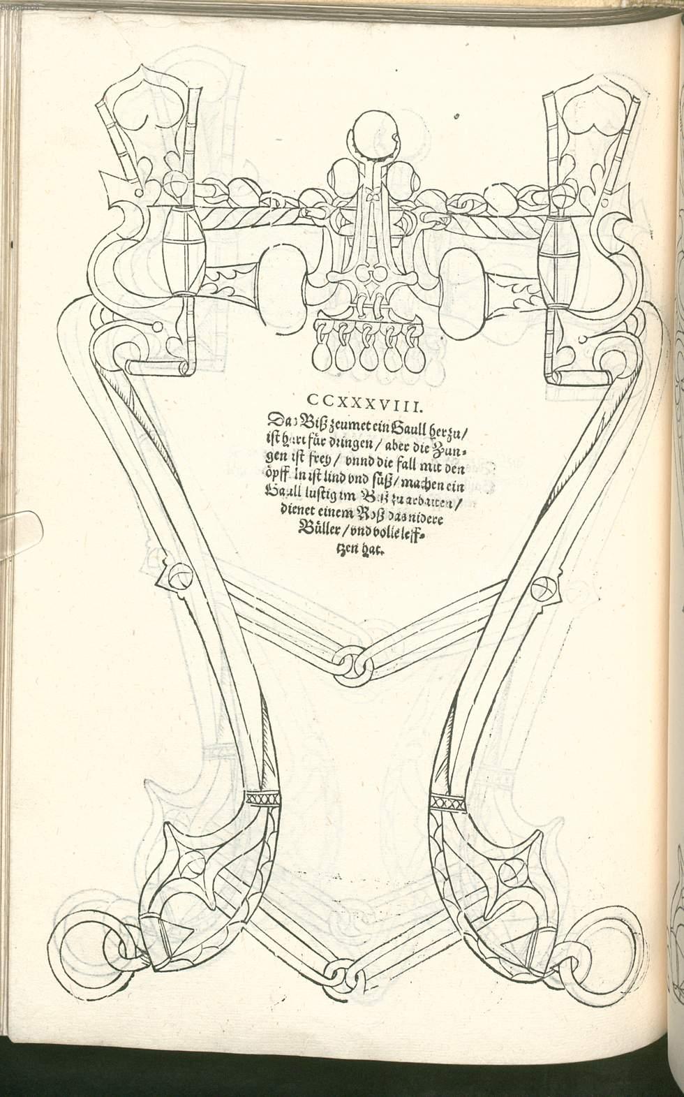 Image 00246