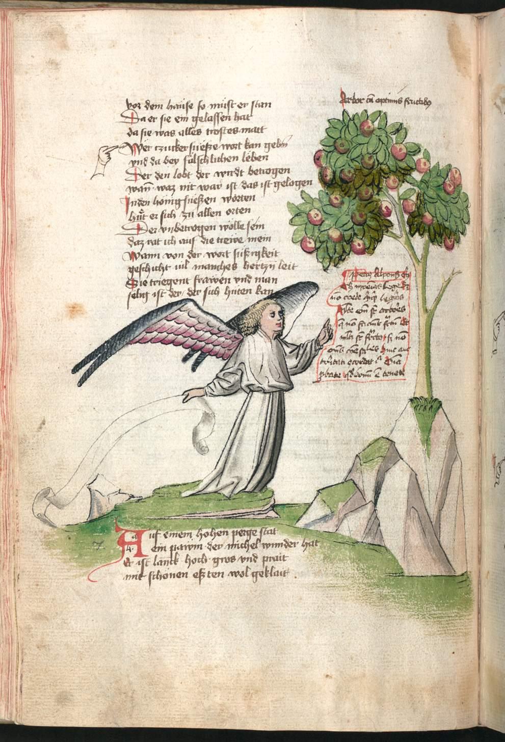 Image 00264