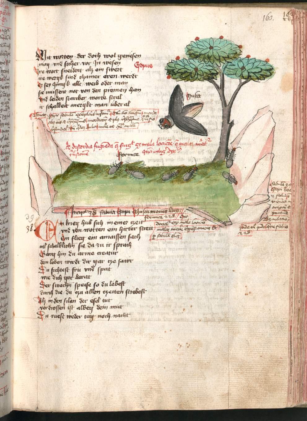 Image 00325