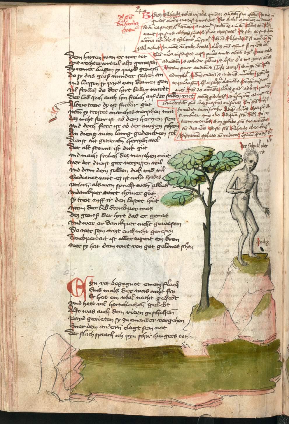 Image 00342