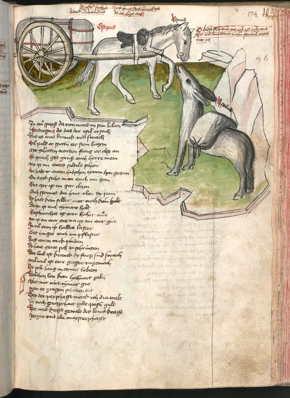 Image 00353