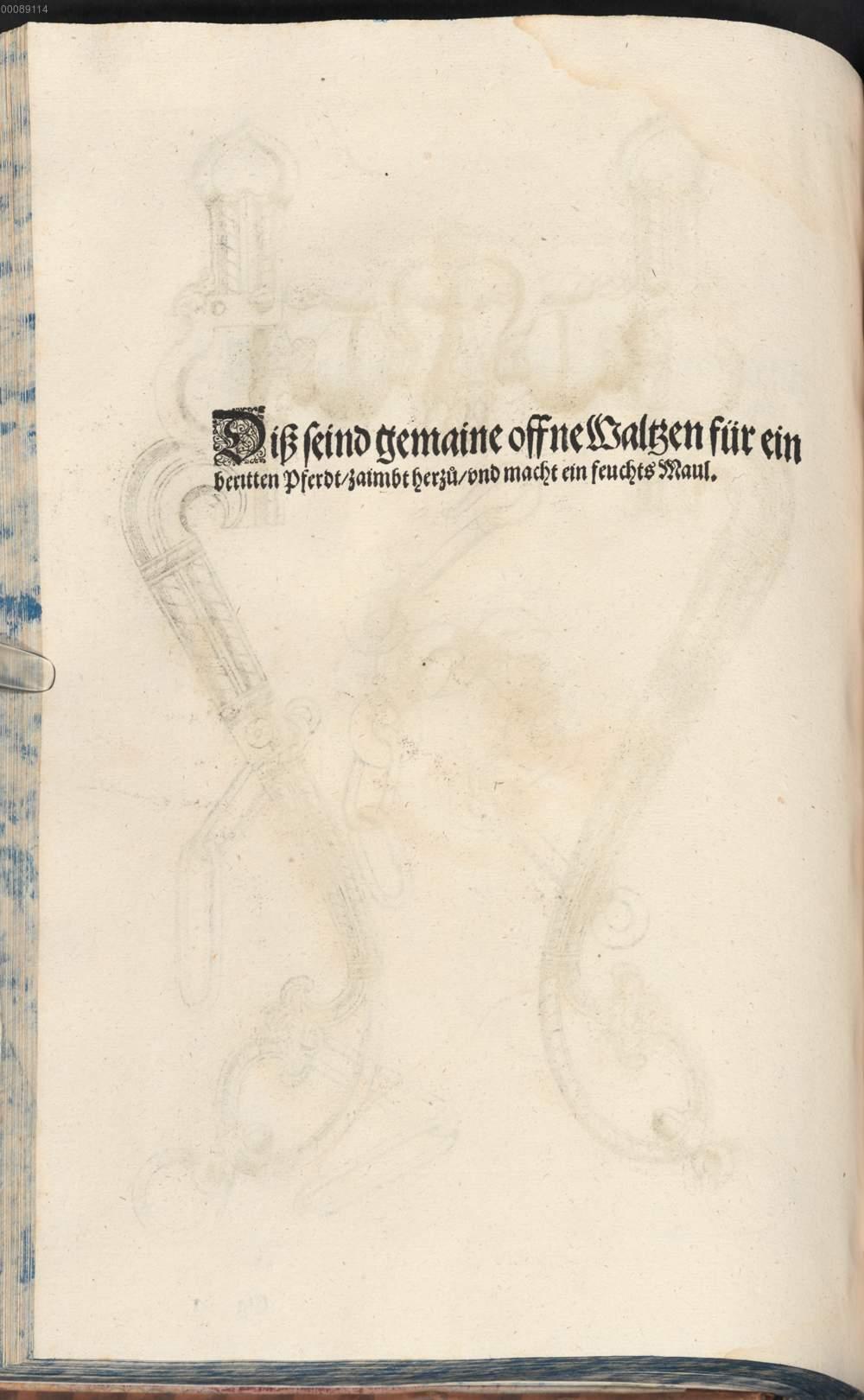 Image 00256