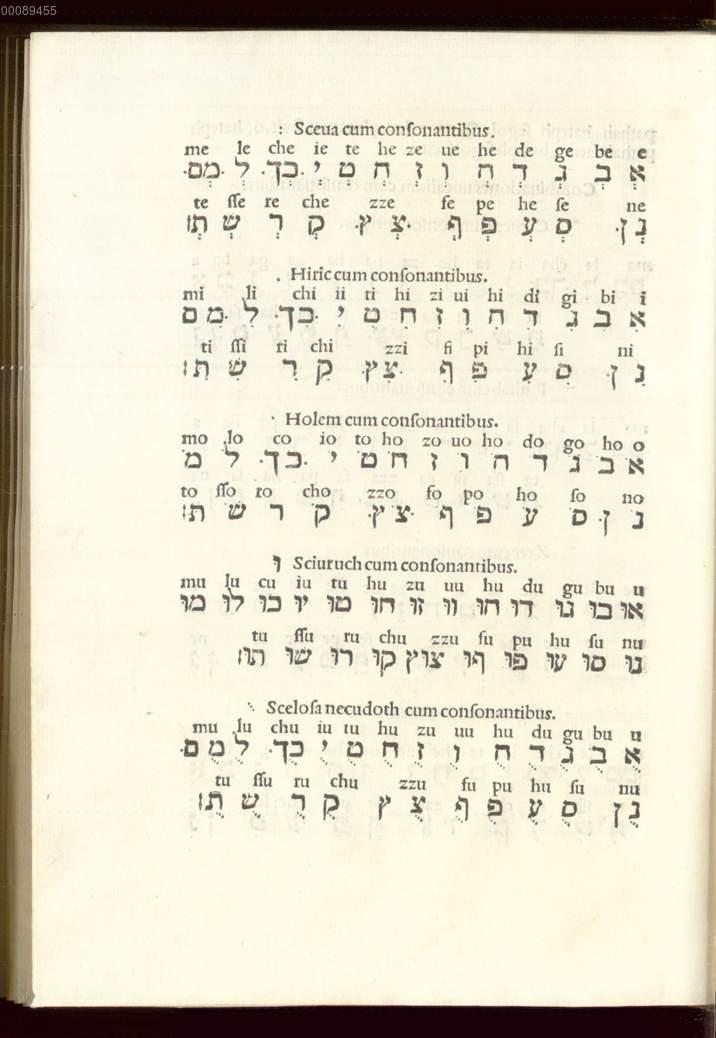 Image 00428