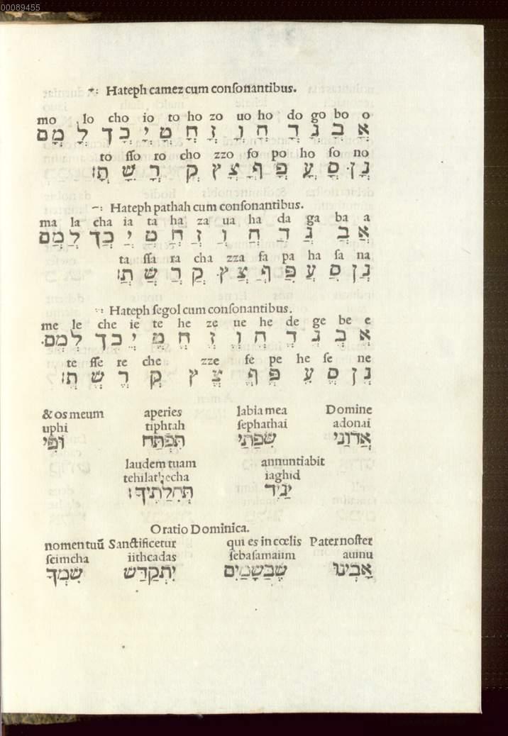 Image 00429