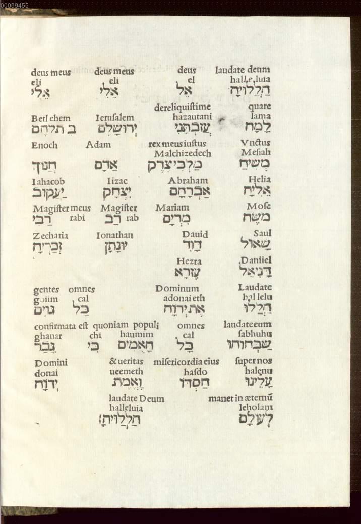 Image 00431