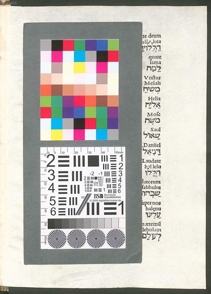 Image 00437