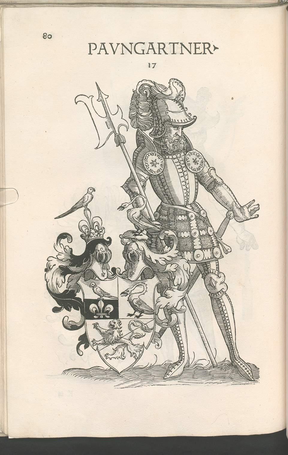 Image 00088