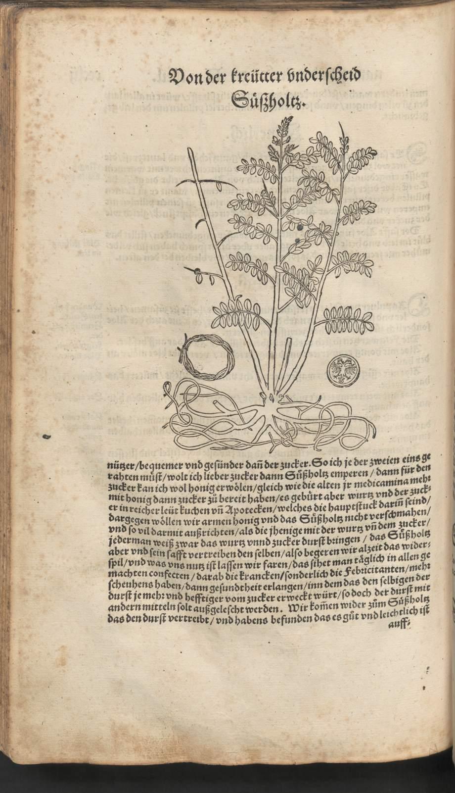 Image 00746